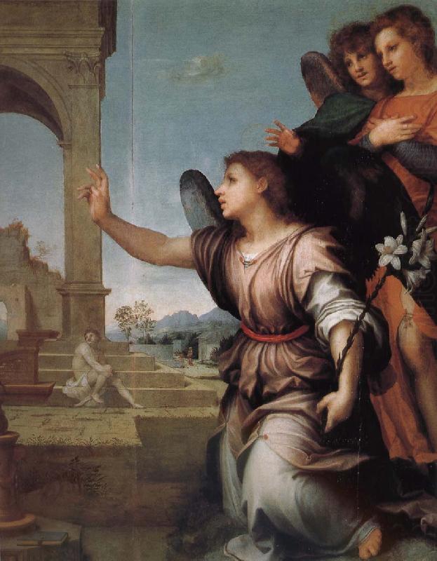 Andrea del Sarto Announce in detail china oil painting image